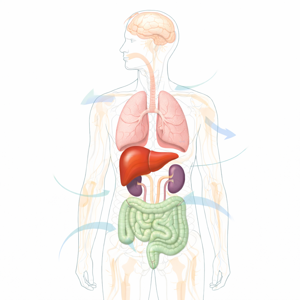 The body